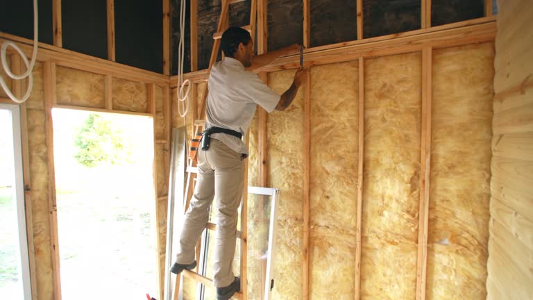 Best Attic Insulation Installation  in Meadowlakes, TX